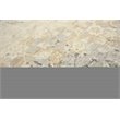 Alora Decor Euphoria 10' x 13' Floral Distress Beige/Gray/Rust/Blue Hybrid Rug
