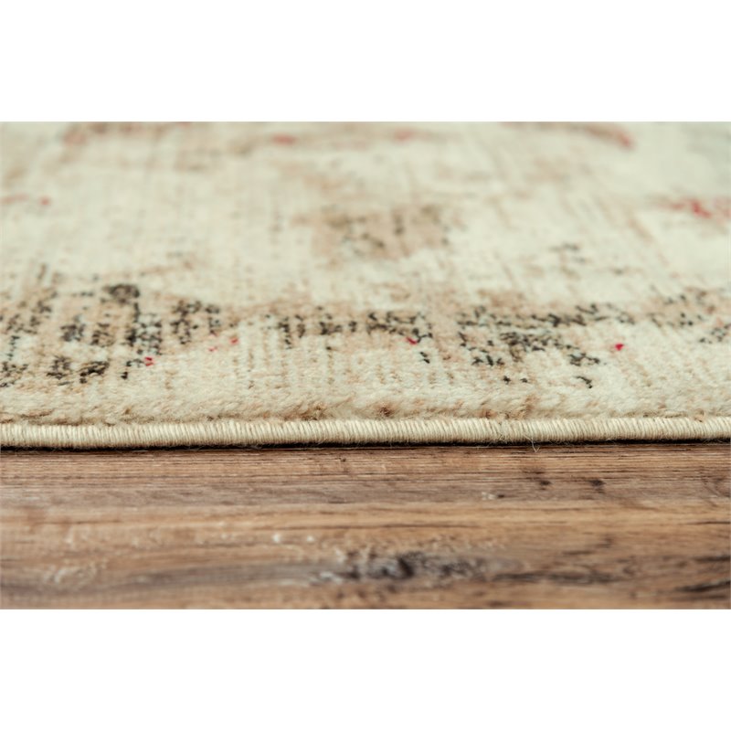 Alora Decor Euphoria 5' x 8' Medallion Distress Beige/Brown/Rust Hybrid Area Rug