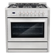 36 in. Stellar Collection 4.4 cu. ft. Dual Fuel Range with Convection Oven