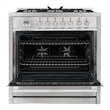 36 in. Stellar Collection 4.4 cu. ft. in. Dual Fuel Range - Liquid Propane