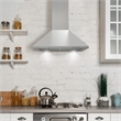 24 in. Nebula Collection Ducted Wall Mount Range Hood in Stainless Steel