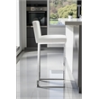 Pangea Home Dexter 30