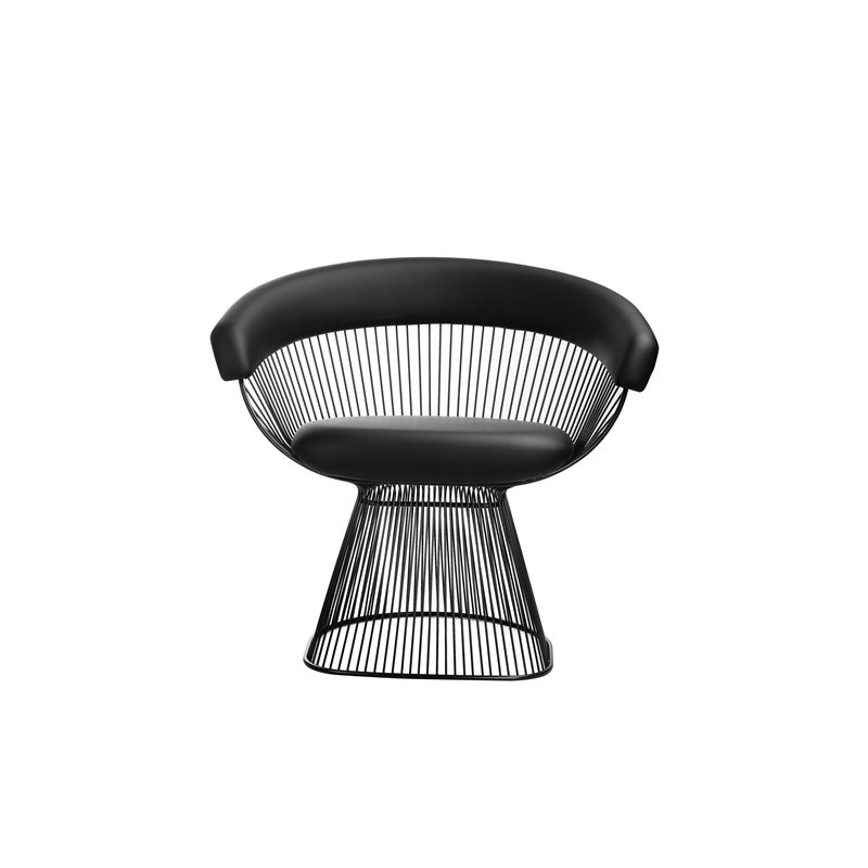 Pangea Home Fern 19