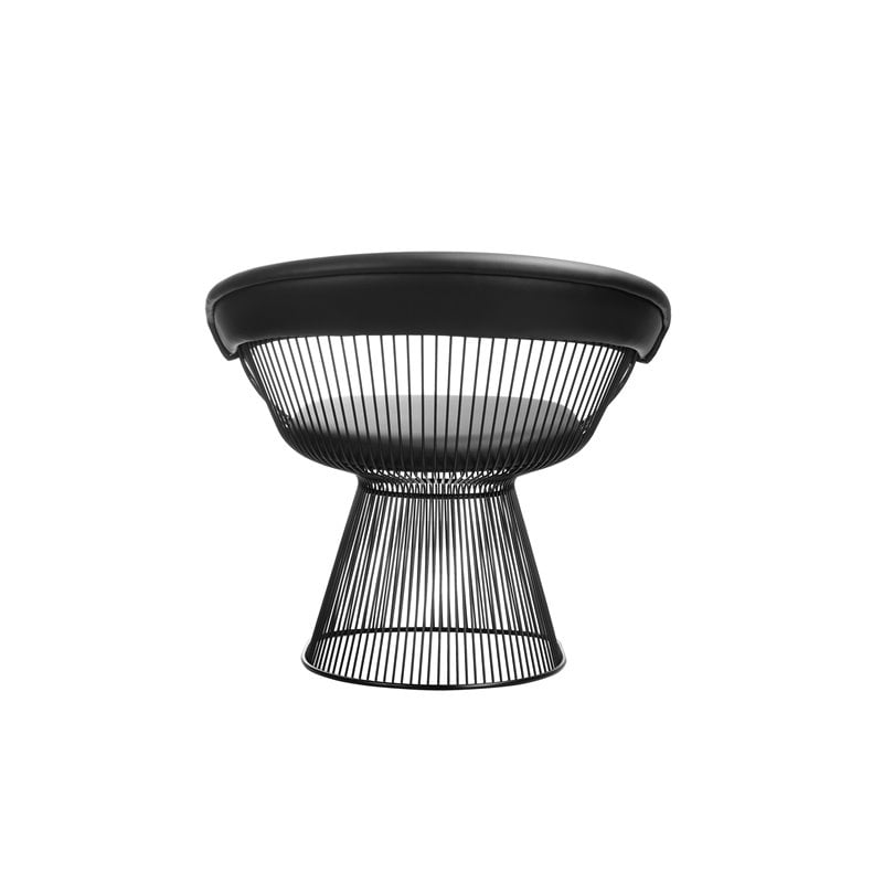 Pangea Home Fern 19