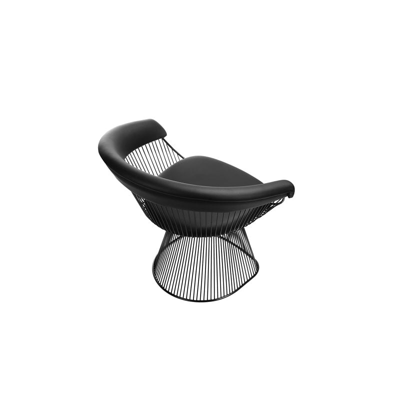 Pangea Home Fern 19