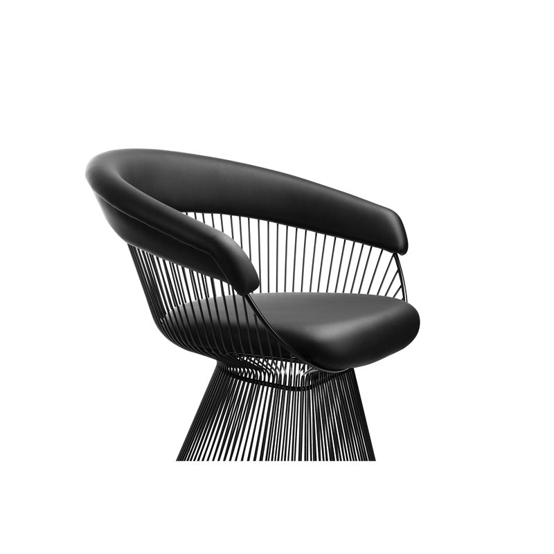 Pangea Home Fern 19