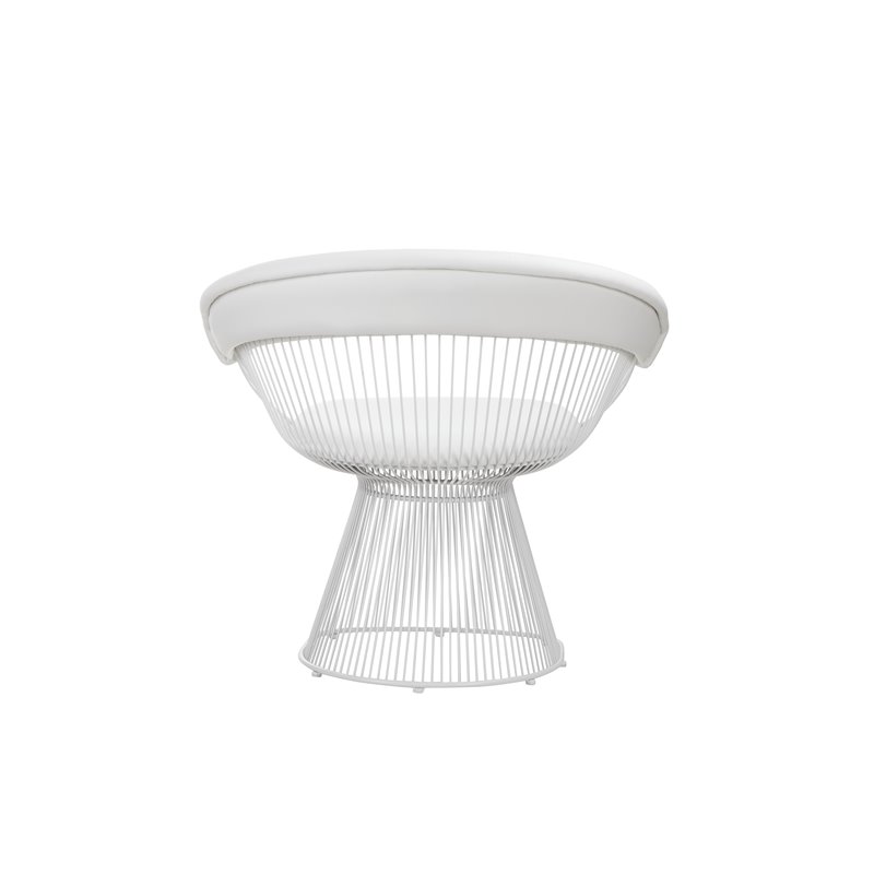 Pangea Home Fern 19
