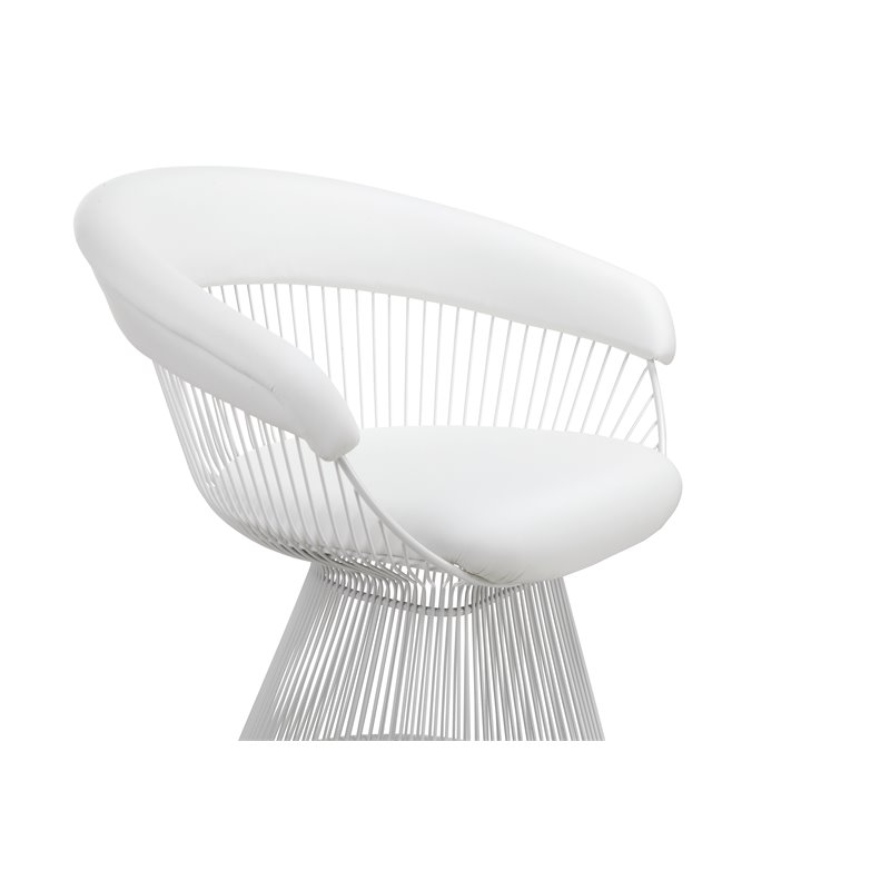 Pangea Home Fern 19
