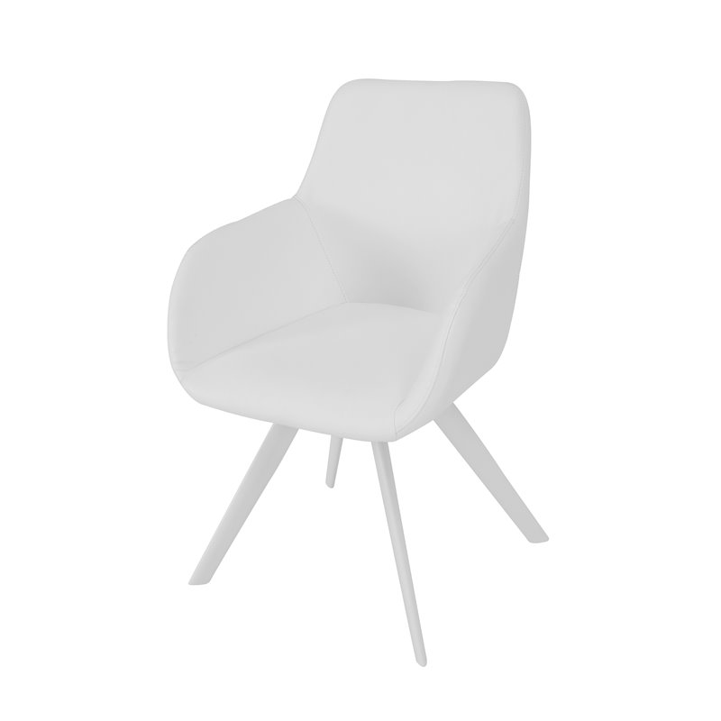 Pangea Home Mono 17