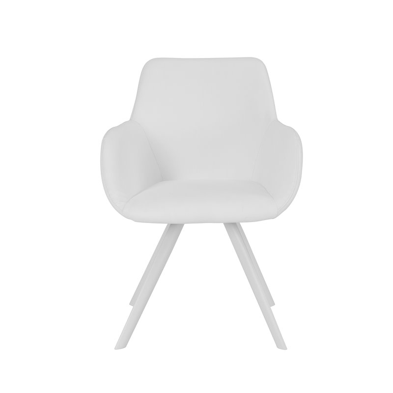 Pangea Home Mono 17