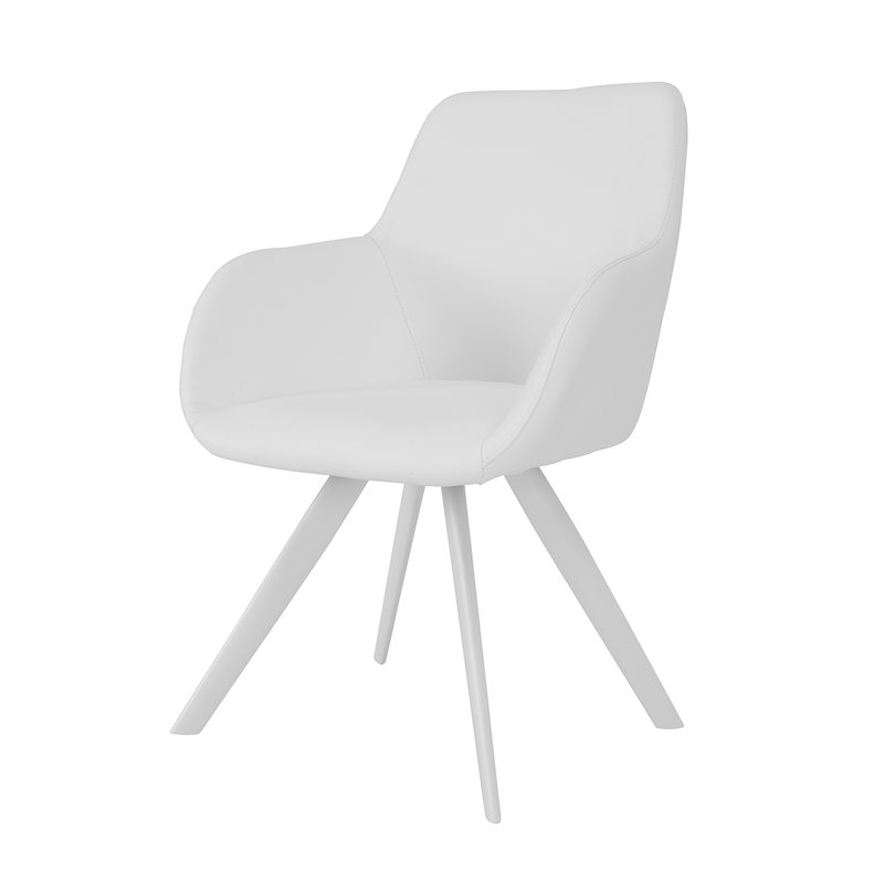 Pangea Home Mono 17