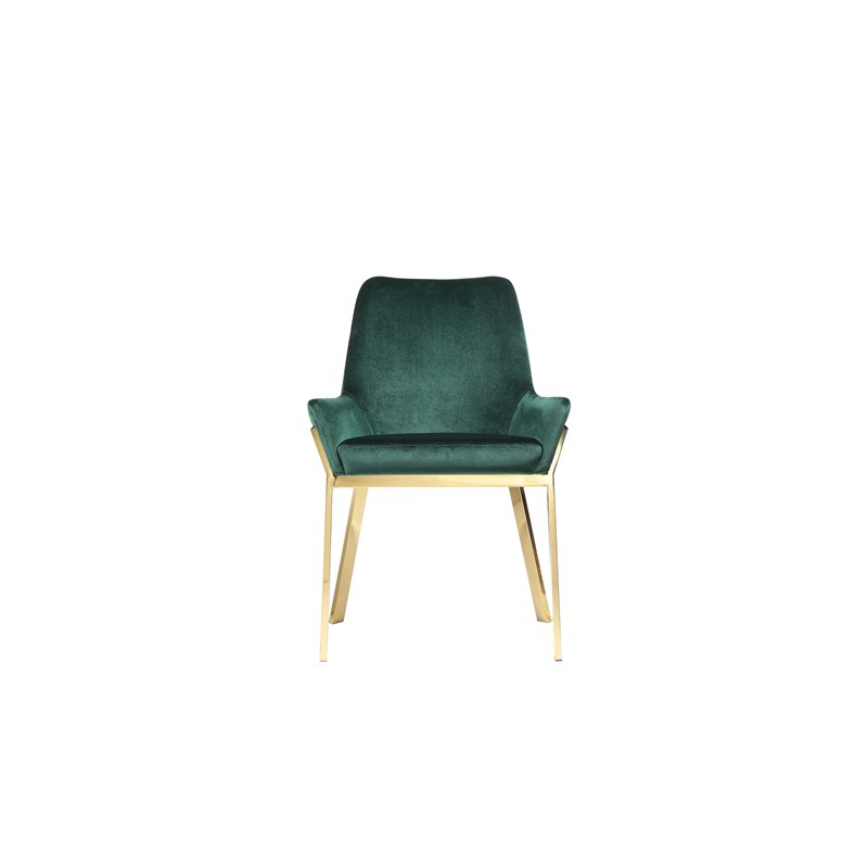 Pangea Home Hudson 19.3