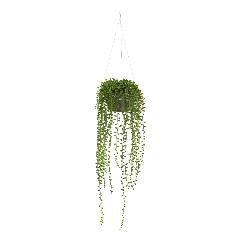 Nearly Natural String of Pearl Artificial Plant Hanging Basket in Green/Brown