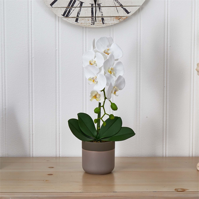 Nearly Natural Bold Phalaenopsis Orchid with Two-Toned Ceramic Pot in White/Tan