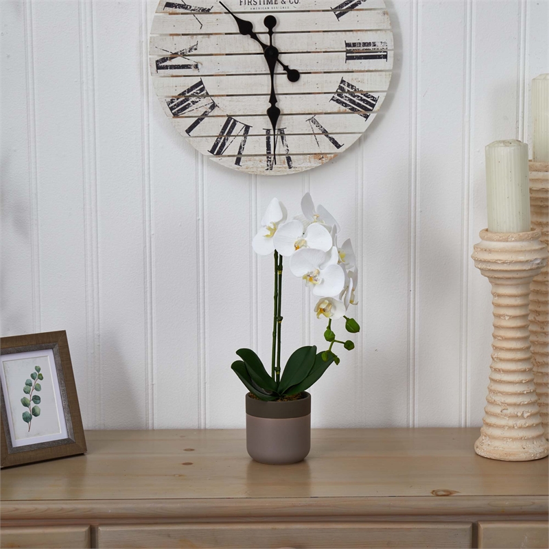 Nearly Natural Bold Phalaenopsis Orchid with Two-Toned Ceramic Pot in White/Tan