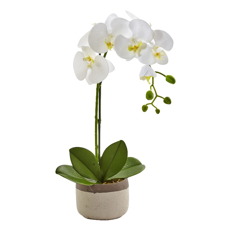 Nearly Natural Bold Phalaenopsis Orchid with Two-Toned Ceramic Pot in White/Tan