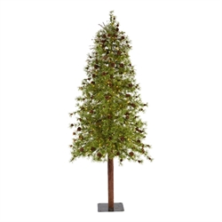 Christmas Trees