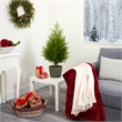 Nearly Natural 3ft Norfolk Island Pine Artificial Tree in Decorative Planter