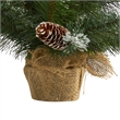 Nearly Natural 2ft Frosted Pine Christmas Tree w/ 35 Clear LED Lights