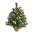 Nearly Natural 2ft Frosted Pine Christmas Tree w/ 35 Clear LED Lights