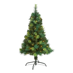 Holiday Decor