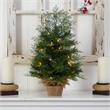 Nearly Natural 2ft Artificial Christmas Tree in Burlap Base w/ 35 Warm White LED