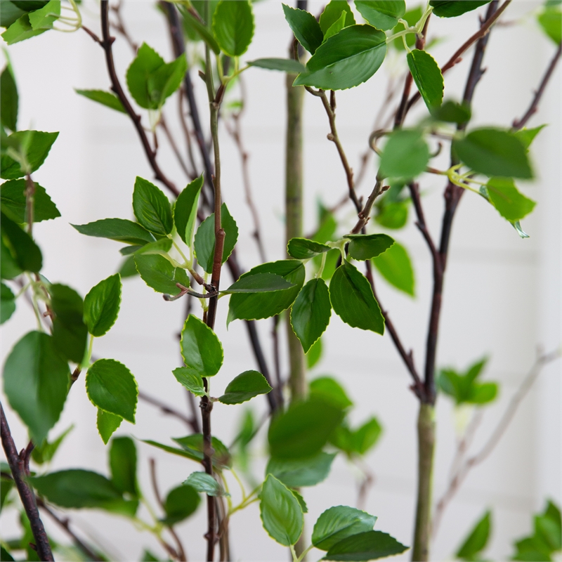 Nearly Natural 7ft Minimalist Citrus Artificial Tree in Green