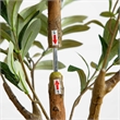 Nearly Natural 5ft Artificial Olive Tree with Natural Trunk in Green