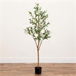 Nearly Natural 5ft Artificial Olive Tree with Natural Trunk in Green