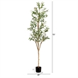 Nearly Natural 6ft Artificial Olive Tree with Natural Trunk in Green