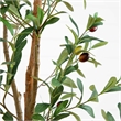 Nearly Natural 6ft Artificial Olive Tree with Natural Trunk in Green