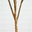 Nearly Natural 6ft Artificial Olive Tree with Natural Trunk in Green