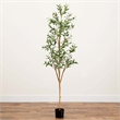 Nearly Natural 6ft Artificial Olive Tree with Natural Trunk in Green