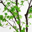 Nearly Natural 10ft Artificial Minimalist Enkianthus Tree in Green