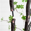 Nearly Natural 10ft Artificial Minimalist Enkianthus Tree in Green