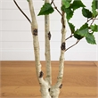 Nearly Natural 6ft Artificial Birch Tree with Real Touch Leaves in Green
