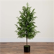Nearly Natural 4ft Artificial Norfolk Pine Tree in Green