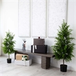 Nearly Natural 4ft Artificial Norfolk Pine Tree in Green