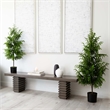 Nearly Natural 4ft Artificial Norfolk Pine Tree in Green