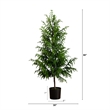 Nearly Natural 5ft Artificial Norfolk Pine Tree in Green