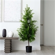Nearly Natural 5ft Artificial Norfolk Pine Tree in Green