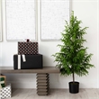 Nearly Natural 5ft Artificial Norfolk Pine Tree in Green