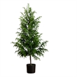 Nearly Natural 5ft Artificial Norfolk Pine Tree in Green