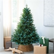 Nearly Natural 6ft Pre-Lit Edmonton Fir Light Show Memory Shape Christmas Tree