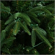 Nearly Natural 6ft Pre-Lit Edmonton Fir Light Show Memory Shape Christmas Tree