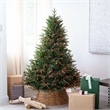Nearly Natural 6ft Pre-Lit Edmonton Fir Light Show Memory Shape Christmas Tree