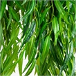 Nearly Natural 6ft Willow Artificial Tree (Real Touch) in Green