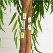 Nearly Natural 6ft Willow Artificial Tree (Real Touch) in Green