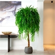 Nearly Natural 6ft Willow Artificial Tree (Real Touch) in Green
