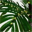 Nearly Natural 6ft UV Resistant Lighted Palm Tree with 206 Warm White LED Lights